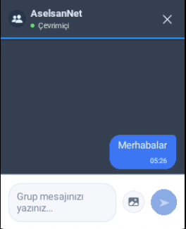 AselVoice Kontroller